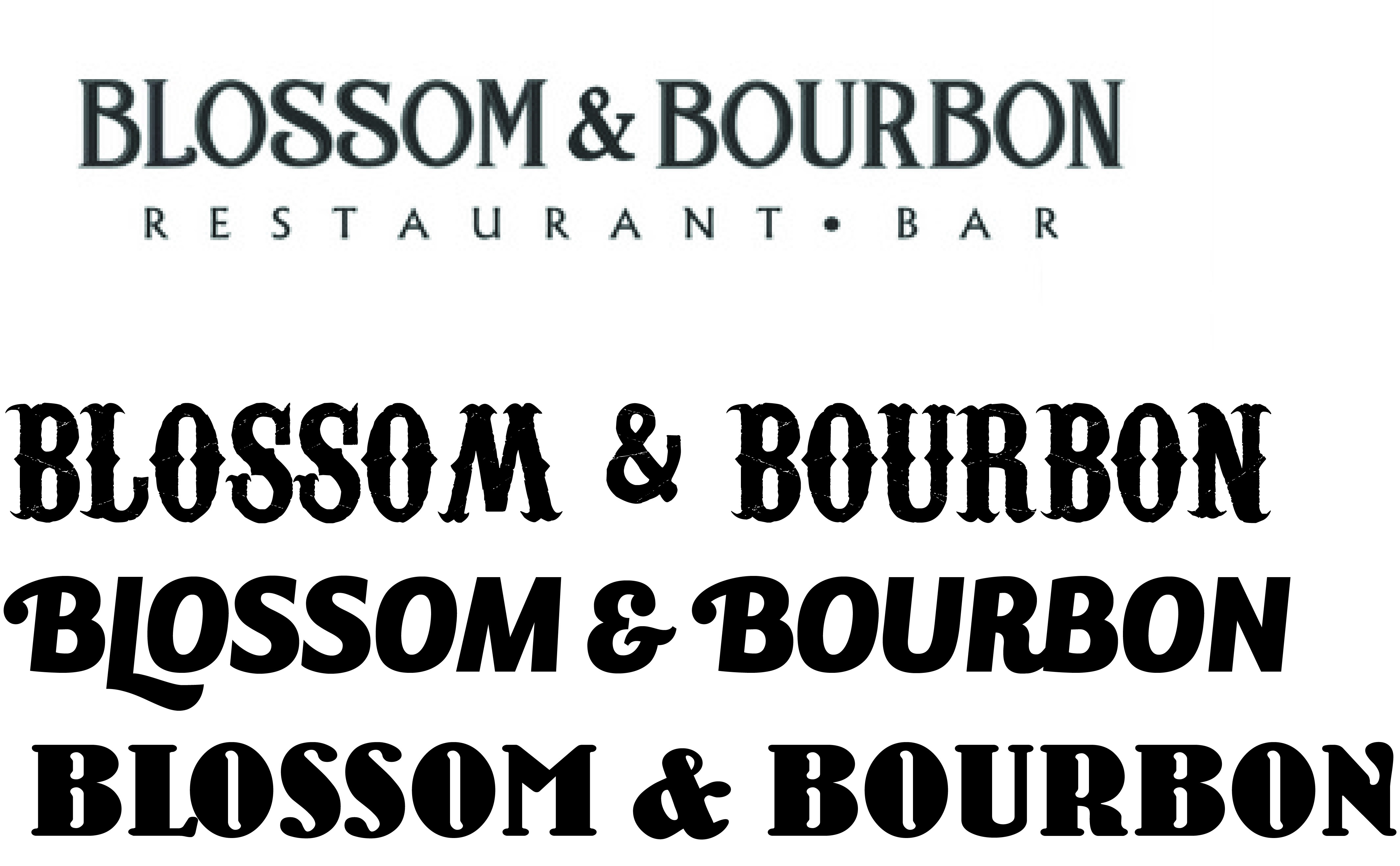 Early lettering studies for Blossom & Bourbon: the refined serif logotype at top, above three alternate explorations — a western-style face, a bold italic script, and a rounded bold face.