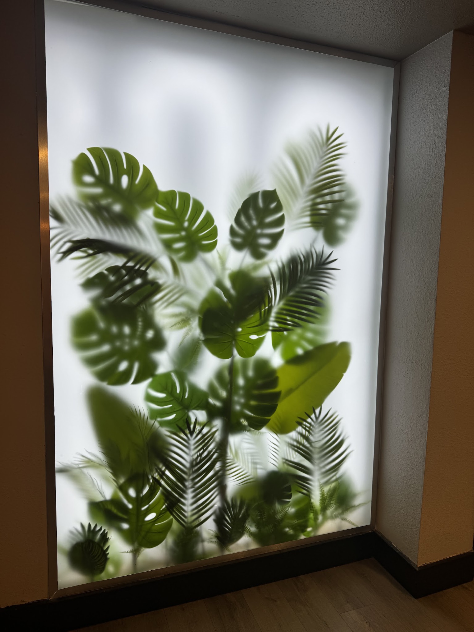 Interior installation for SGD Tofu in Palo Alto